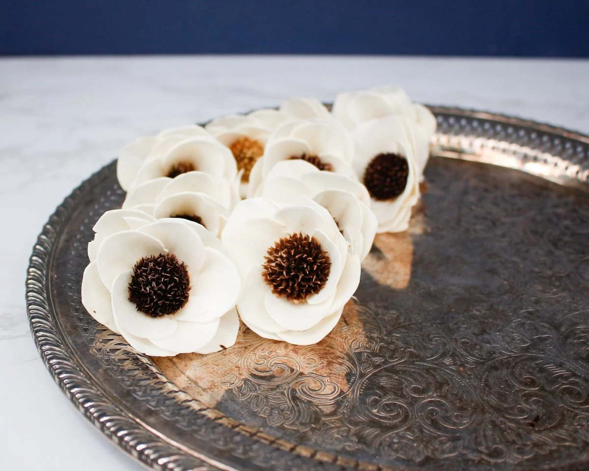 2" Anemone (10 pack) - Image 3