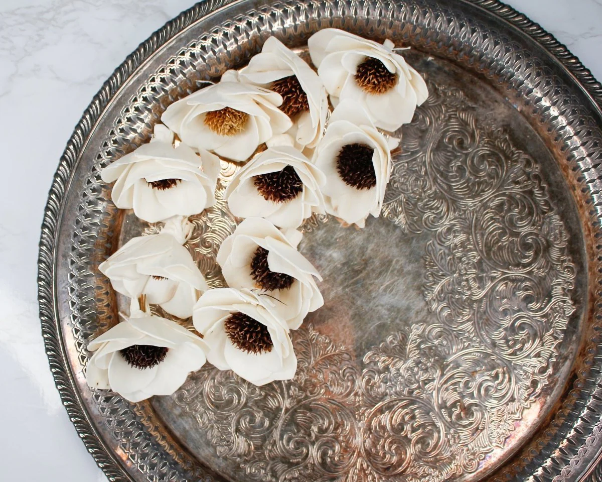 2" Anemone (10 pack) - Image 4