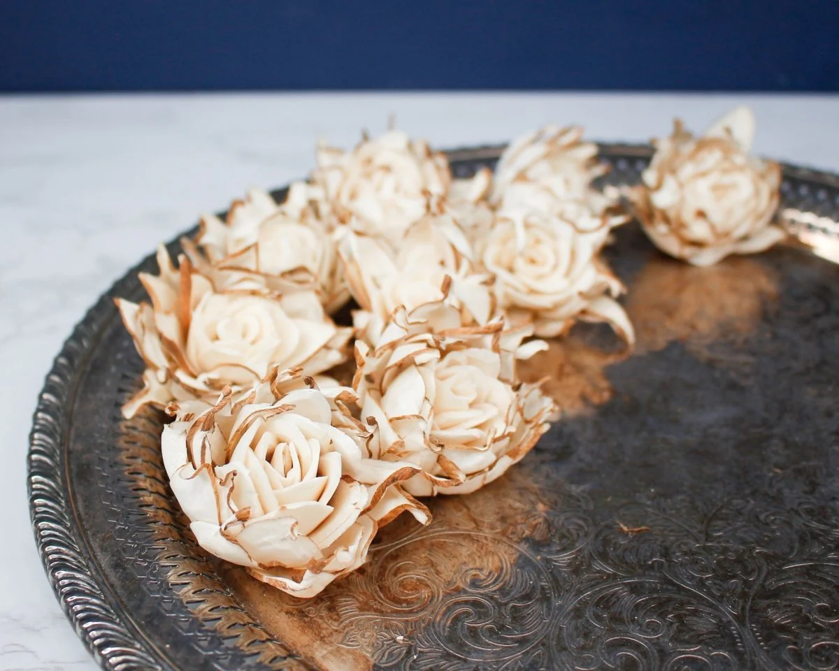 2" Daphney (10 Pack) - Image 3