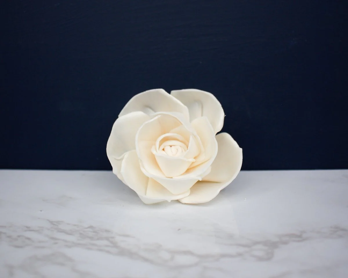 2" Peace Rose (10 Pack) - Image 3