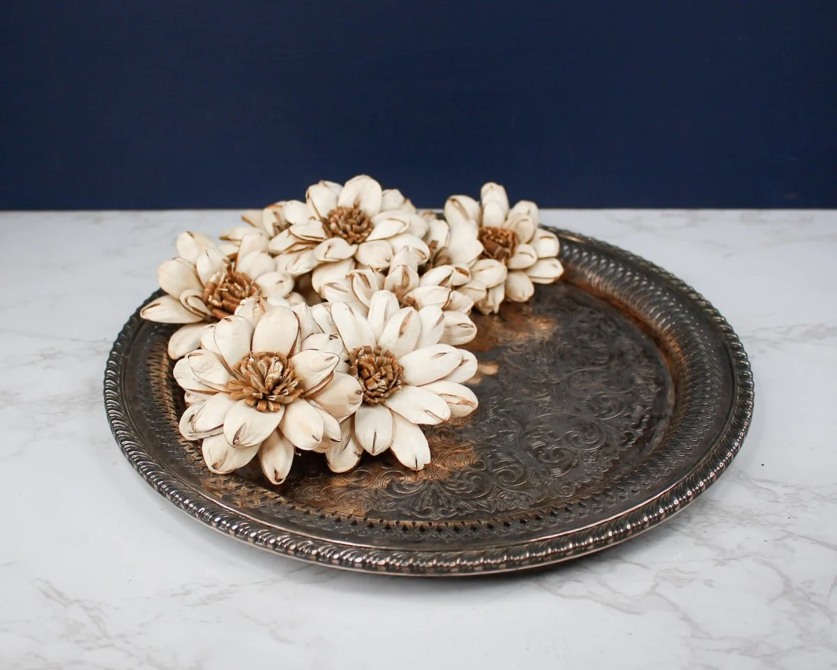 3" Cape Daisy (10 Pack) - Image 3