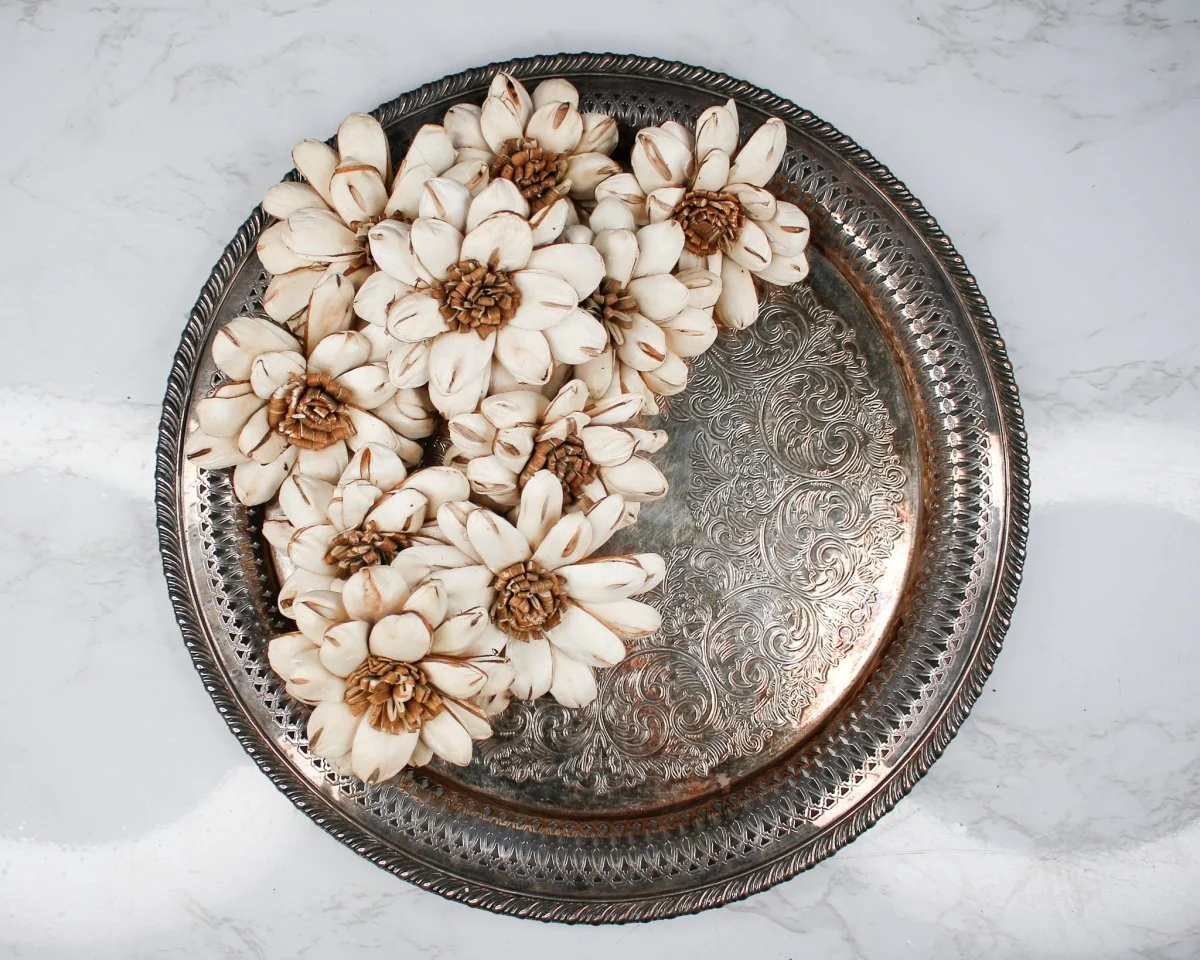 3" Cape Daisy (10 Pack) - Image 4