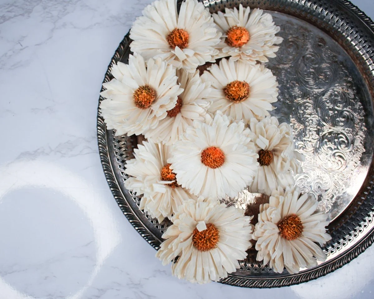 3" Classic Daisy (10 Pack) - Image 4