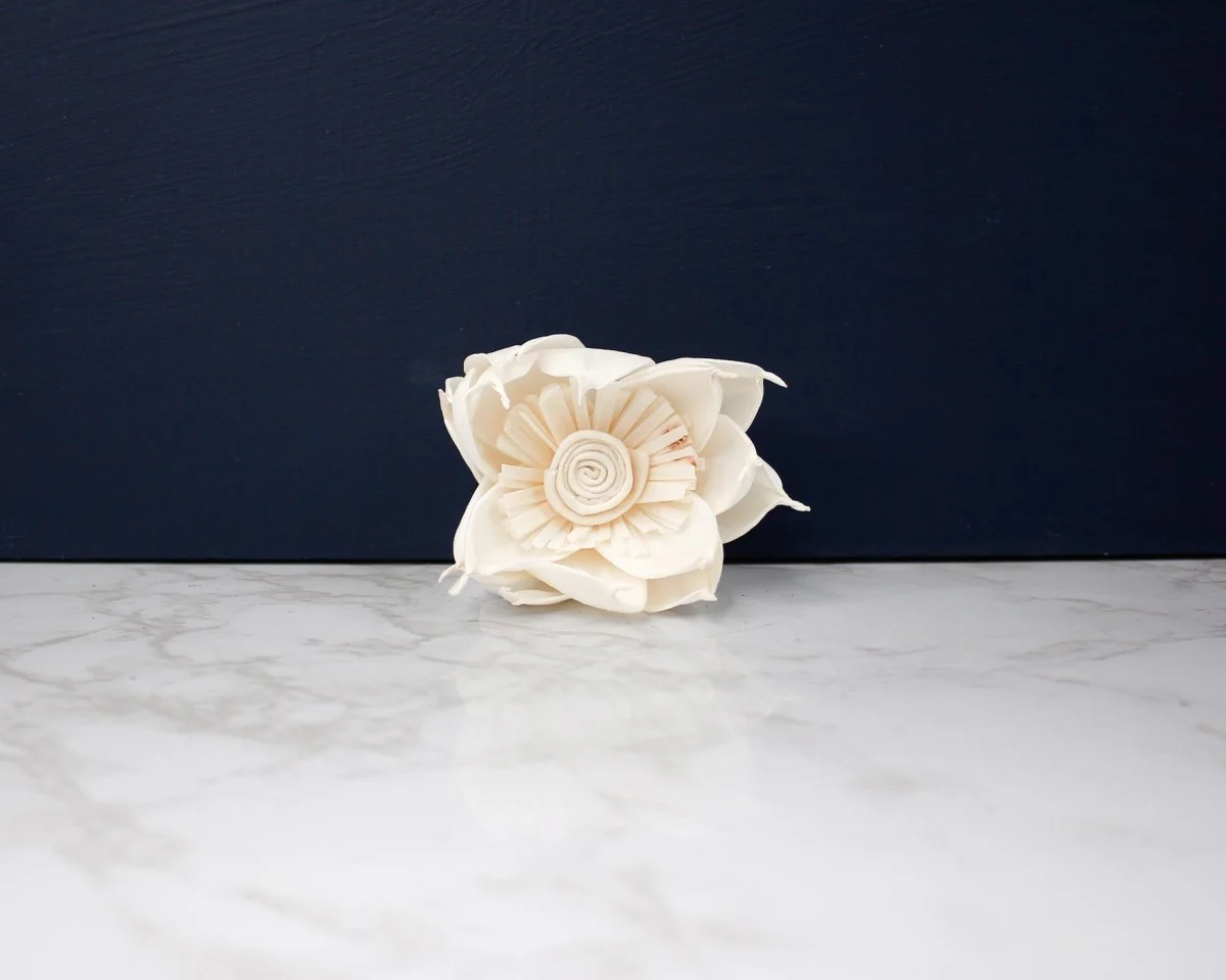 3" Shooting Star (10 Pack) - Image 4