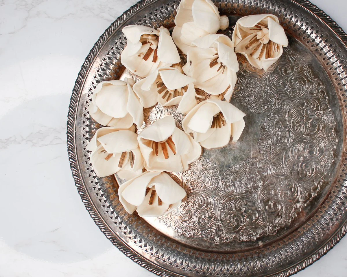 3" Sweetbay Magnolia (10 Pack) - Image 4